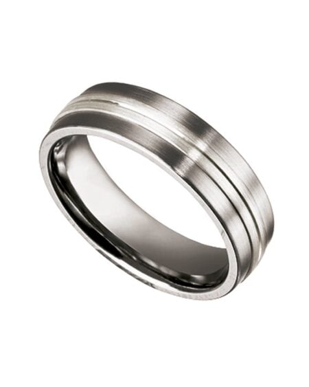 Titanium Ring With Silver