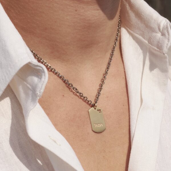 Personalised Dog Tag Necklace Gold Disc titanium Chain