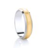 Gold and Argentium Ring