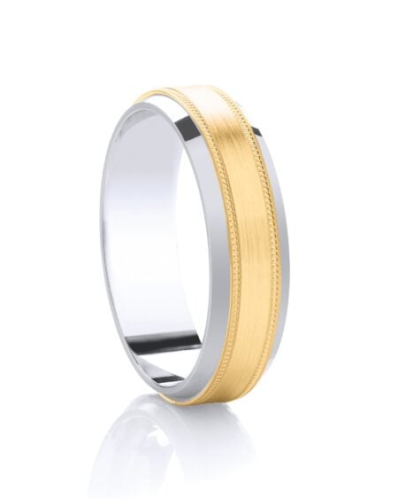 Gold and Argentium Ring