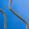Snake Chain