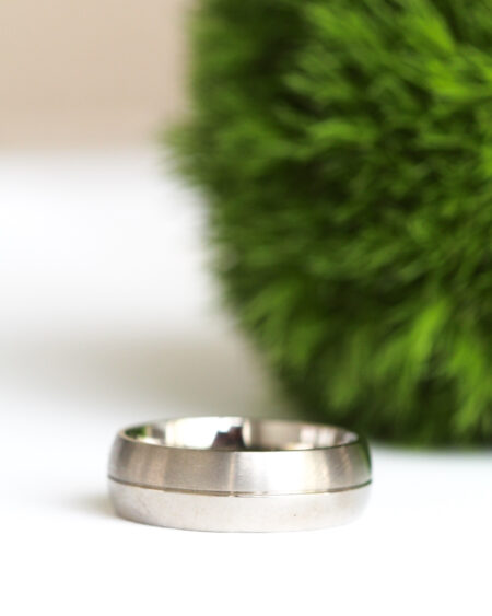 Titanium Light and Dark Wedding Ring
