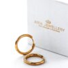 AJ- Large Chunky Stainless Steel Plated Hoops
