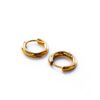 AJ -- Small Chunky Stainless Steel Plated Hoops