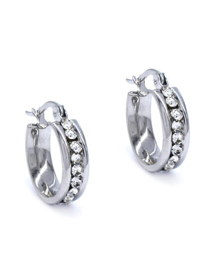 Stainless Steel Crystal Hoop Earrings