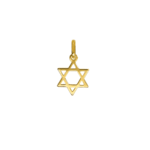 Gold Star of David Charm